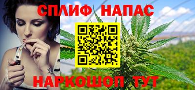 шишки Заводоуковск