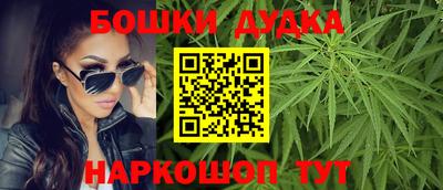 шишки Заводоуковск