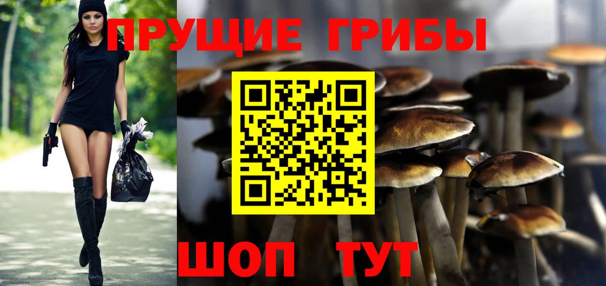 Галлюциногенные грибы Magic Shrooms  Вход с VPN  Псилоцибиновые грибы Psilocybe  Междуреченск 