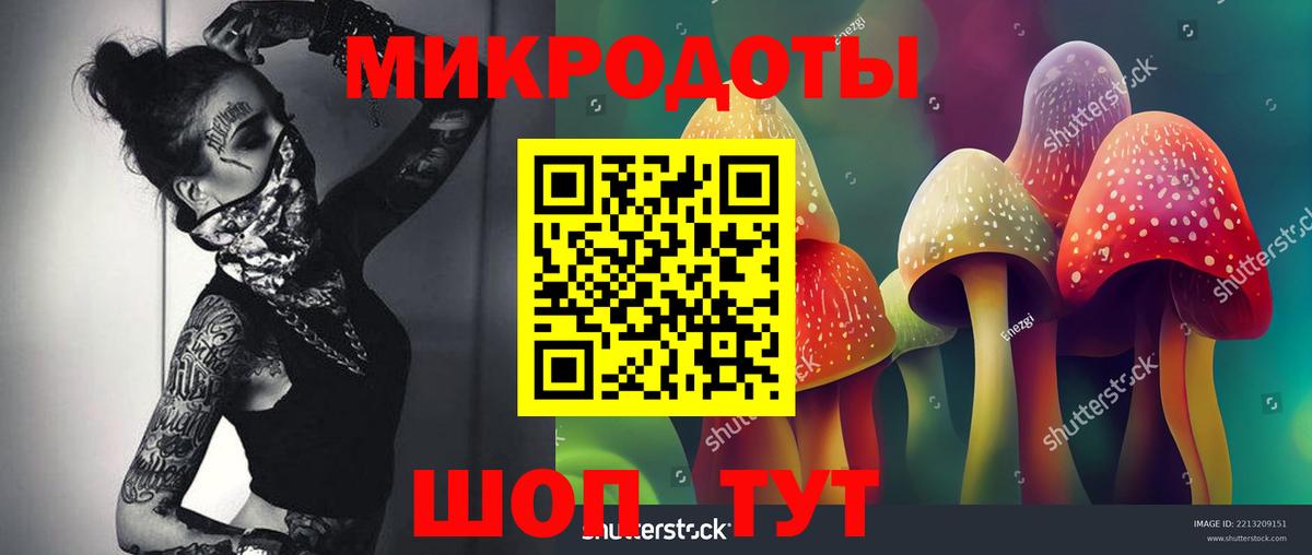 Псилоцибиновые грибы прущие грибы Междуреченск